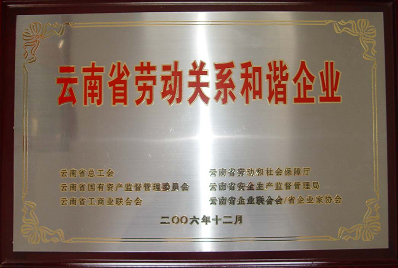 2006年—云南省勞動關(guān)系和諧企業(yè)